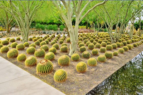 Sunnylands is a historic estate and garden that once hosted world leaders and celebrities