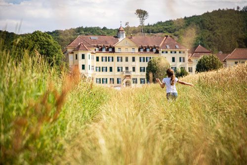 Explore the stunning mansions of Beverly Hills, where luxury and elegance abound, offering a glimpse into the glamorous lifestyle of the rich and famous. Beverly Hills, surrounded by opulent mansions