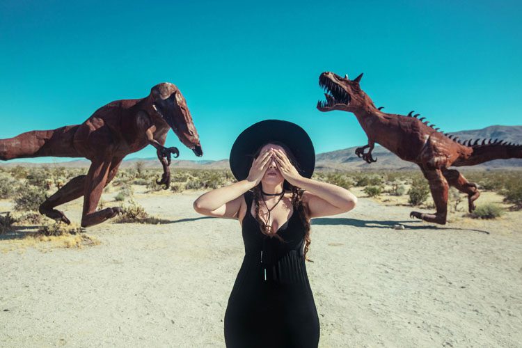 Anza-Borrego Desert State Park: Marvel at stunning desert landscapes, vibrant wildflowers, and unique wildlife in California's largest state park. Anza-Borrego Desert State Park is a sprawling desert landscape