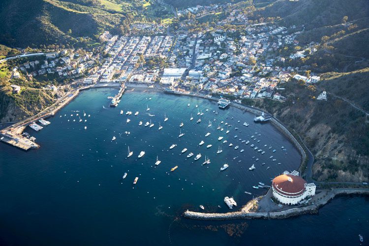 Discover Catalina Island, a picturesque getaway with stunning beaches, outdoor adventures, and charming towns, perfect for a day trip or weekend escape. Catalina Island