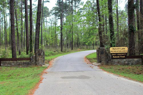 Davy Crockett National Forest boasts lush pine forests and scenic trails, perfect for hiking, camping, and enjoying the beauty of Texas nature. Davy Crockett National Forest, named for the legendary frontiersman