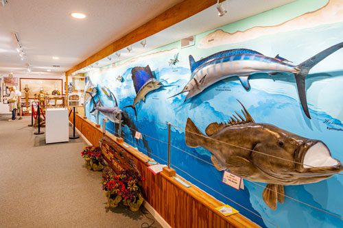 Discover the rich maritime heritage at the Destin History & Fishing Museum, showcasing local fishing history and exhibits that celebrate the area's culture. Kid-friendly attractions in Destin, Florida Destin History & Fishing Museum