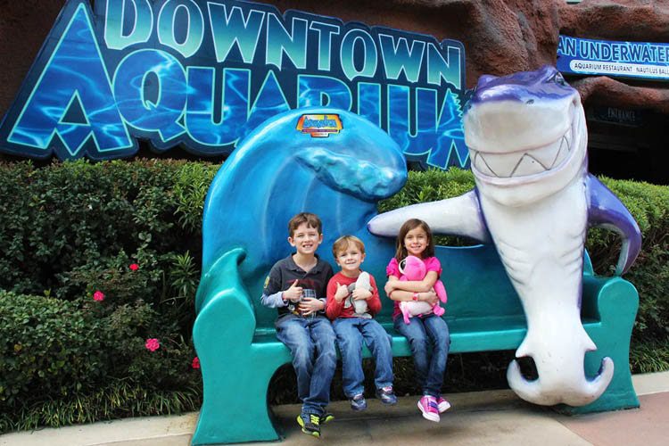 Discover wonders of marine life at the Downtown Aquarium in Texas, featuring immersive exhibits, interactive experiences, and a thrilling underwater adventure. Fun-Filled Texas Outings for Families Downtown Aquarium Texas-min