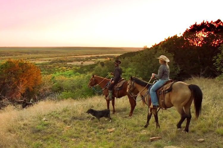 Experience the authentic cowboy lifestyle at a Dude Ranch in DFW, Texas, offering horseback riding, cattle drives, and family-friendly in a picturesque setting. Family-Friendly Activities in Texas Dude Ranch in DFW Texas-min