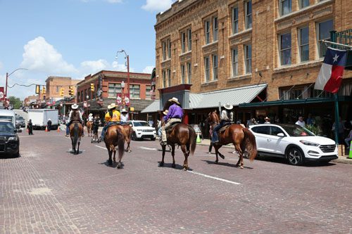 Fort Worth combines cowboy culture and modern art, featuring the Stockyards, Fort Worth Zoo, and the Kimbell Art Museum in a vibrant urban setting. Fort Worth texas Photo by Sean P. Twomey pexels-min