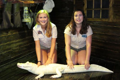 Get up close with alligators at Gator Beach in Destin, Florida, where you can watch thrilling shows, hold baby gators, and learn about these fascinating reptiles. Gator Beach