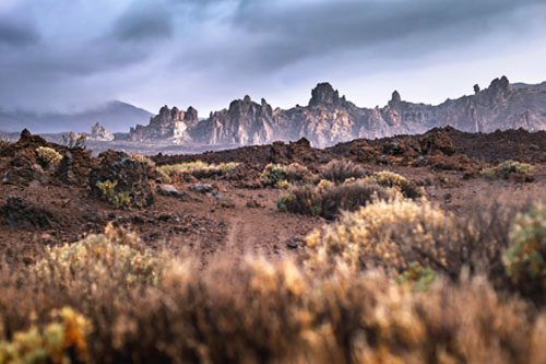 Guadalupe Mountains National Park: Hike rugged trails and see diverse wildlife in Texas's stunning mountain park, home to the state's highest peak. Texas' best travel destinations stunning beauty of Guadalupe Mountains National Park