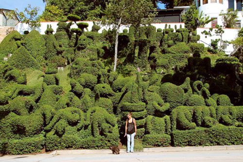 Discover Harper's Topiary Garden in Mission Hills, San Diego, a unique home garden featuring whimsical, sculpted plants and creative topiary art. Harper’s Topiary Garden is a whimsical display of over 50 shrubs