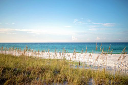 Serene beach view at Henderson Beach State Park with pristine white sand, clear blue waters, and lush dunes—a perfect escape in Florida’s natural beauty. Things to do in Destin Florida with kids Henderson Beach State Park