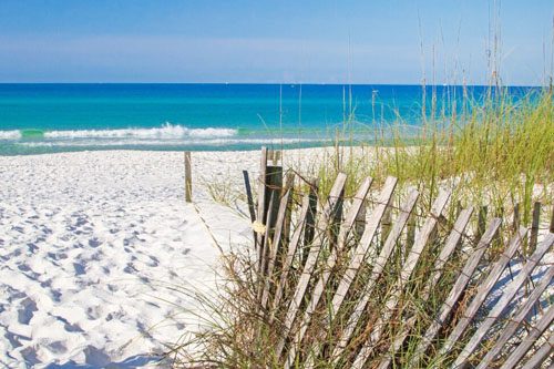 Experience the natural beauty of Henderson Beach State Park in Destin, Florida, with pristine shores, nature trails, and wildlife for a tranquil escape. Things to Do in Destin, Florida Henderson Beach State Park