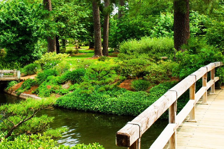 Relax and enjoy the beauty of Hermann Park in Texas, featuring lush gardens, serene lakes, and a variety of recreational activities for the whole family. Fun-Filled Texas Outings for Families Hermann Park Texas-min