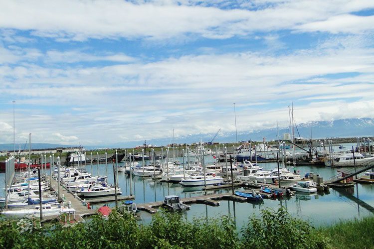 Explore Homer, Alaska: A charming coastal town known for its art scene, stunning views, and the famous Homer Spit on Kachemak Bay. Homer is a delightful coastal town Premier destinations in Alaska to visit