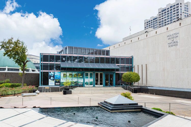 Discover the wonders of science at the Houston Museum of Natural Science, featuring fascinating exhibits on dinosaurs, gems, and universe, perfect for all ages. Kid-Friendly Experiences in Texas Houston Museum of Natural Science Texas-min