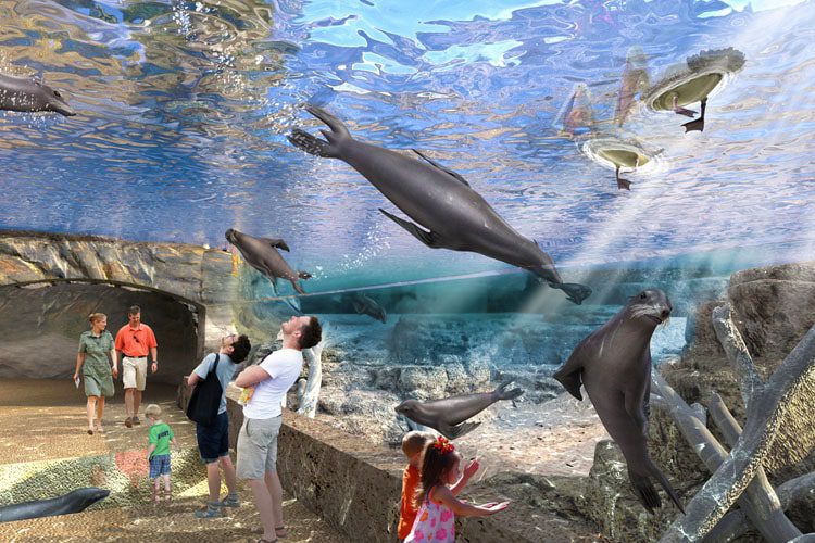 Explore the Houston Zoo, home to a diverse array of wildlife and immersive exhibits, offering an educational and fun experience for visitors of all ages. Top Attractions for Families in Texas Houston Zoo-min