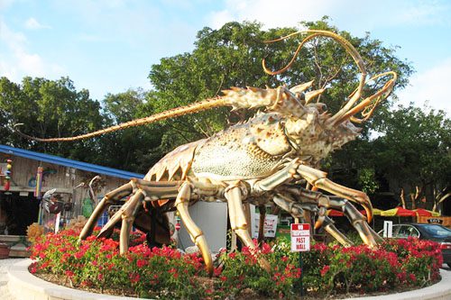 Discover Islamorada, Florida: Known as the Sportfishing Capital of the World, this picturesque island offers beautiful beaches, vibrant marine life, and outdoor adventures. Florida’s best travel destinations “Fishing Capital of the World,” Islamorada