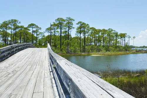 Discover the beauty of Jolee Island Nature Park in Destin, Florida, featuring scenic trails, wildlife observation, and peaceful picnic spots by the water. Jolee Island Nature Park florida