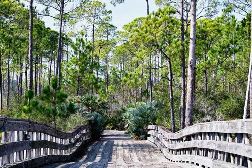  Explore Jolee Island Nature Park, a peaceful haven with scenic trails, wildlife, and beautiful waterfront views, perfect for nature lovers and families. What to do with kids in Destin, Florida Jolee Island Nature Park