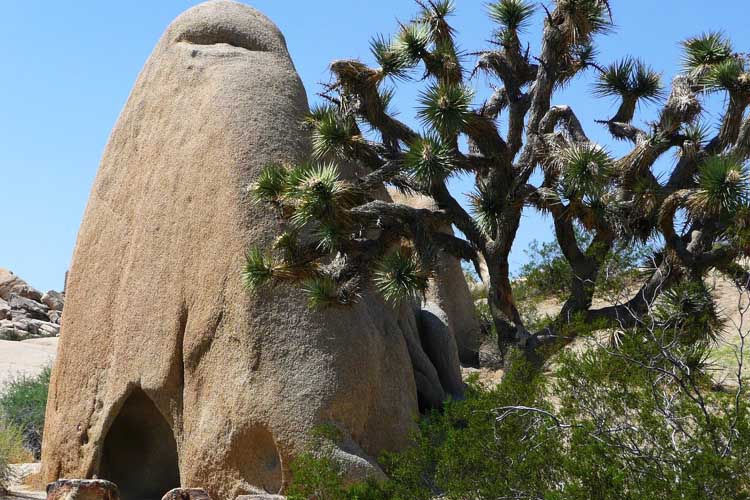 Discover Joshua Tree National Park, where unique desert landscapes, iconic Joshua trees, and stunning rock formations await outdoor enthusiasts. Joshua Tree National Park’s unique landscapes California with Kids: Best Activities for Families