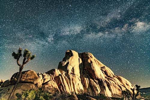 Explore Joshua Tree National Park, where stunning desert landscapes, unique rock formations, and iconic Joshua trees await outdoor enthusiasts. Joshua Tree National Park is where desert magic comes alive Southern California's Best Things to Do