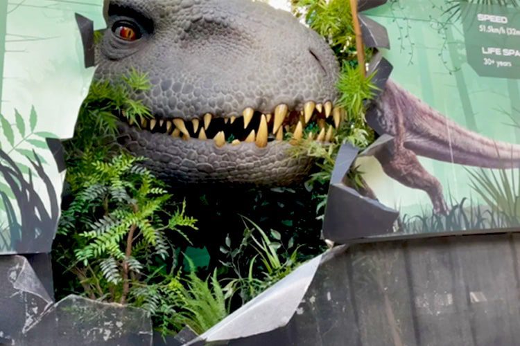 Experience the thrill of Jurassic World – The Ride at Universal Studios Hollywood, where dinosaurs come to life in an unforgettable water adventure! Jurassic World – The Ride