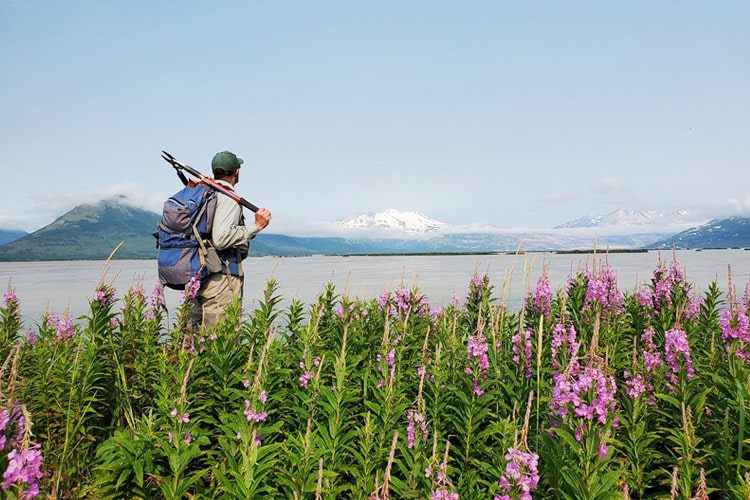 Explore Katmai National Park: A unique Alaskan wilderness known for its active volcanoes, lush landscapes, and famous brown bear viewing. brown bear population, Katmai National Park and Preserve