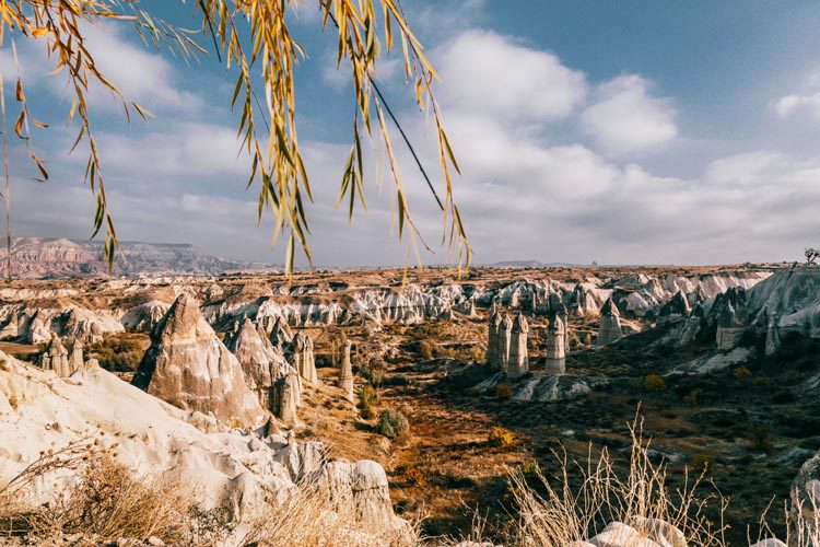 Explore Kings Canyon National Park, where towering cliffs, deep canyons, and giant sequoias create breathtaking scenery for hiking and adventure. Kings Canyon National Park North America