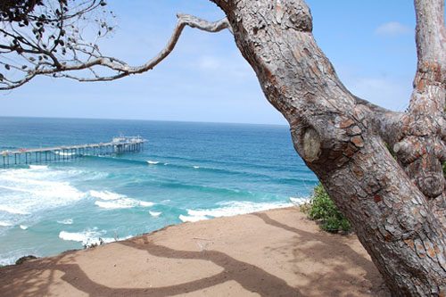 Explore La Jolla, California, a coastal paradise with scenic beaches, sea caves, upscale dining, and breathtaking ocean views perfect for all visitors. La Jolla is a coastal gem known for its stunning beaches