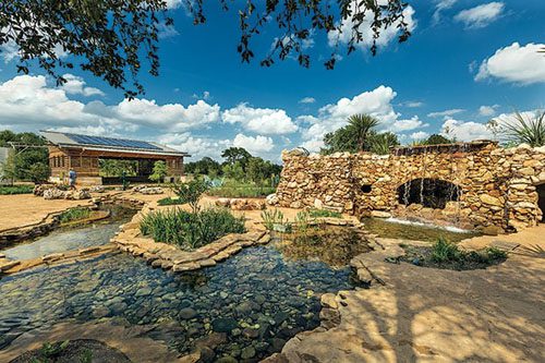 Lady Bird Johnson Wildflower Center in Texas showcases native plants and stunning gardens, promoting conservation and natural beauty. Popular sites to visit in Texas Lady Bird Johnson Wildflower Center in Austin