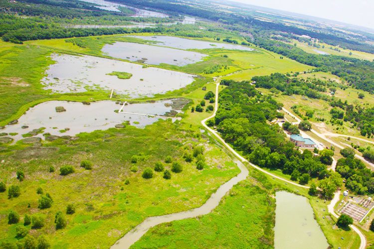 Explore Lake Waco Wetlands: A serene nature reserve featuring walking trails, diverse wildlife, and beautiful landscapes, perfect for outdoor enthusiasts. Waco, Texas: Things to Experience Lake Waco Wetlands