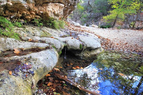 Lost Maples State Natural Area in Texas is a scenic paradise, showcasing stunning fall colors, hiking trails, and diverse wildlife in a peaceful setting. Lost Maples State Natural Area is a hidden gem in the Hill Country