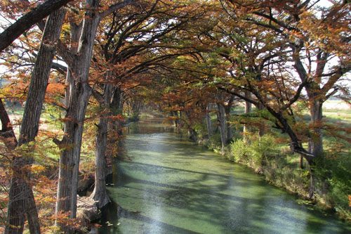 The Medina River offers serene landscapes and a tranquil escape for kayaking, tubing, and picnicking amidst Texas Hill Country beauty. Medina River is a beloved spot for tubing, kayaking, and swimming