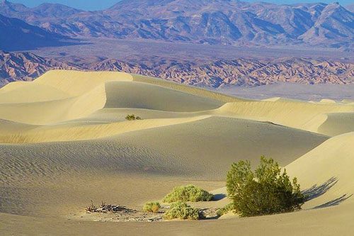 Explore the vast Mojave Desert, known for its rugged landscapes, unique flora, and iconic Joshua trees, perfect for adventurous hikes and stargazing. Mojave Desert is a vast landscape of rugged beauty