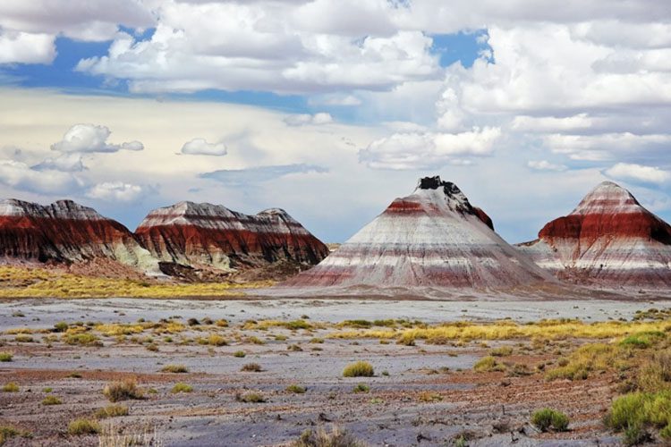 Explore the colorful landscapes and ancient fossils of Petrified Forest National Park, showcasing stunning petrified wood and vibrant badlands. Must-visit spots in Arizona Petrified Forest National Park