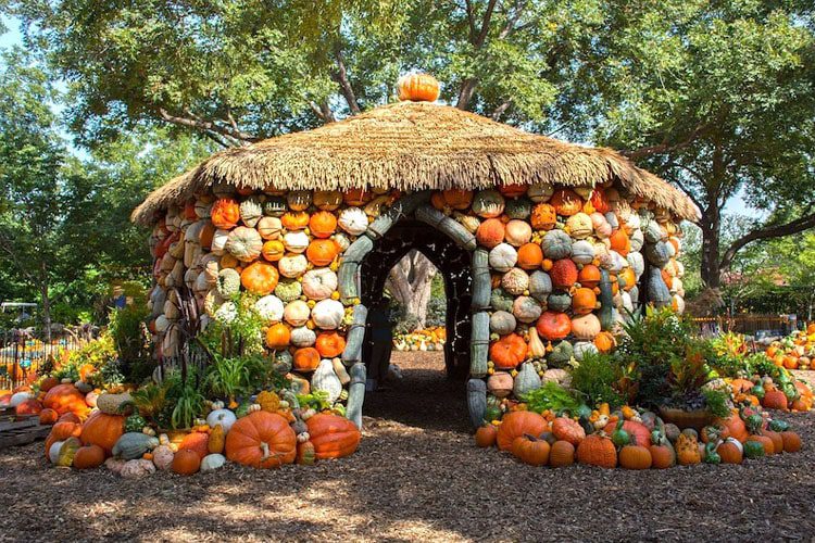 Experience Pick Your Berries or Pumpkins Texas Hill Country, where you can enjoy a delightful day picking fresh berries or pumpkins in a scenic setting. Fun Things to Do with Kids in Texas Pick Your Berries or Pumpkins Texas Hill Country-min