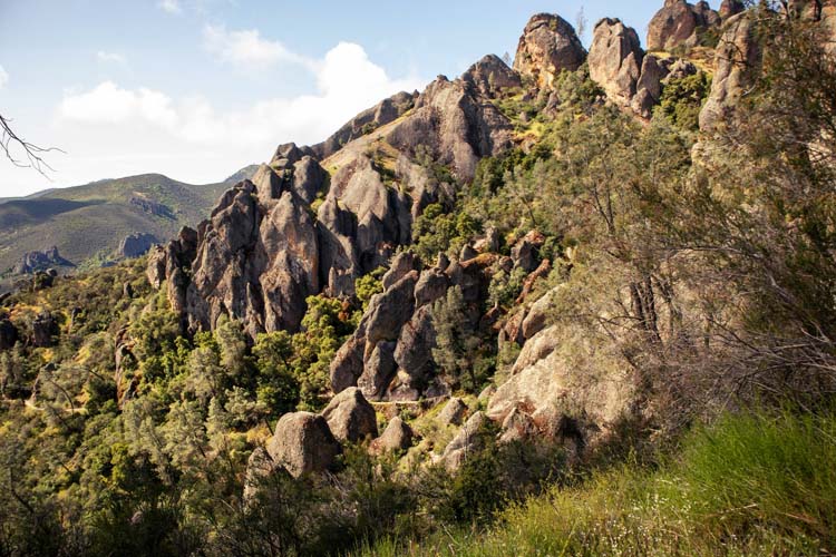 Discover Pinnacles National Park, featuring dramatic rock formations, diverse wildlife, and fantastic hiking trails in California's breathtaking landscape. Pinnacles National Park California