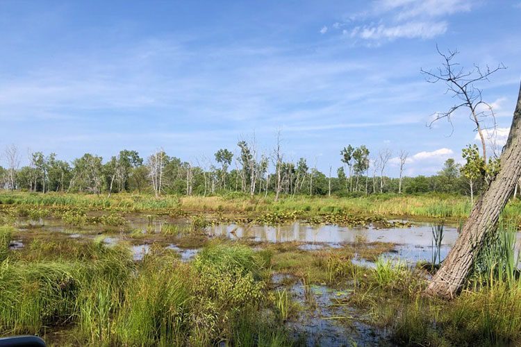 Must-Visit Spots in Pennsylvania Serene beachfront at Presque Isle State Park, Pennsylvania, featuring sandy shores and calm waters along Lake Erie. A popular destination for outdoor activities