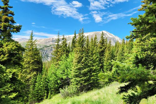 Conquer Quandary Peak: Colorado’s popular 14er offering challenging trails, breathtaking alpine views, and rewarding summit experiences for avid hikers. Top Things to Enjoy in Breckenridge, Colorado Quandary Peak