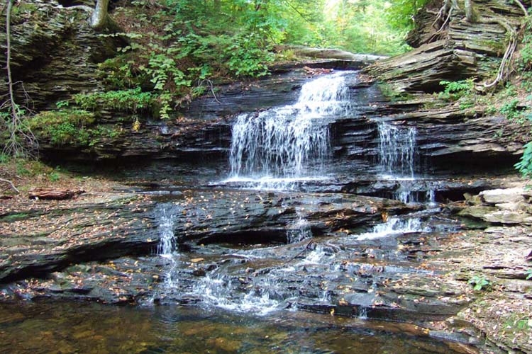 Pennsylvania’s Best Tourist Destinations Beautiful waterfall cascading through the lush forests of Ricketts Glen State Park, Pennsylvania. A stunning natural haven