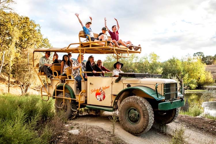 Explore Safari West in Sonoma County, an African wildlife preserve where you can see exotic animals and enjoy guided safari tours in a stunning setting. Things to Do in California with Kids safari adventure at Safari West in Santa Rosa