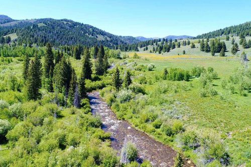 Discover Sawmill Creek Trail: A tranquil Colorado hike with forested paths, creek views, and peaceful surroundings, perfect for outdoor enthusiasts and families. What to Do in Breckenridge, Colorado Sawmill Creek Trail