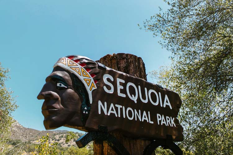 Explore Sequoia National Park, home to towering sequoias, stunning landscapes, and scenic trails, perfect for hiking and nature enthusiasts. Colossal sequoias at Sequoia National Park