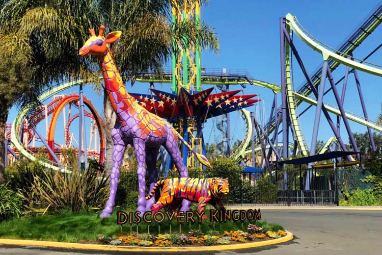 Explore Six Flags Discovery Kingdom in Vallejo, CA, where thrilling rides, animal encounters, and live entertainment await for an unforgettable day. pumping experience at Six Flags Discovery Kingdom in Vallejo Top Activities for Families in California