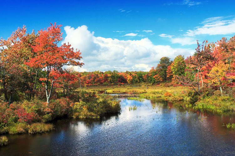 Best Places to Visit in Pennsylvania Stunning view of the Pocono Mountains, featuring vibrant autumn foliage, tranquil lakes, and rolling hills. A popular retreat in Pennsylvania