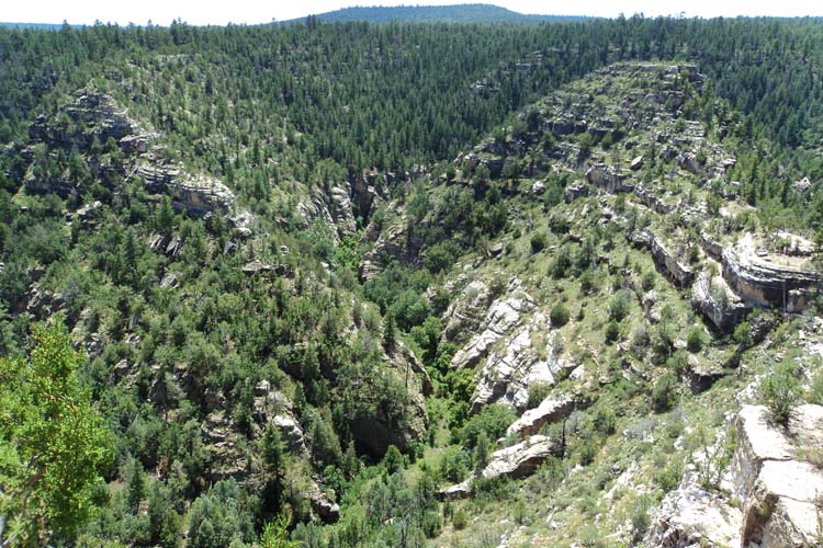 Discover Arizona's Walnut Canyon National Monument, featuring ancient cliff dwellings and scenic trails for a unique glimpse into history. Walnut Canyon National Monument-min