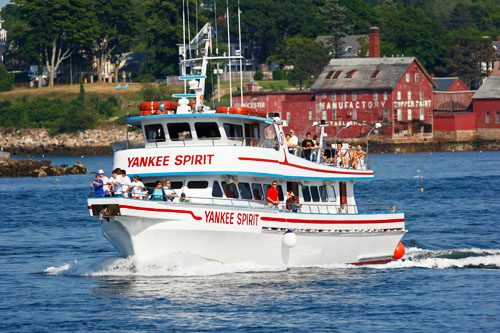 Experience thrilling whale watching in California, where you can observe majestic whales in their natural habitat along the stunning coastline. Witness the majestic beauty of whales along California’s coastline