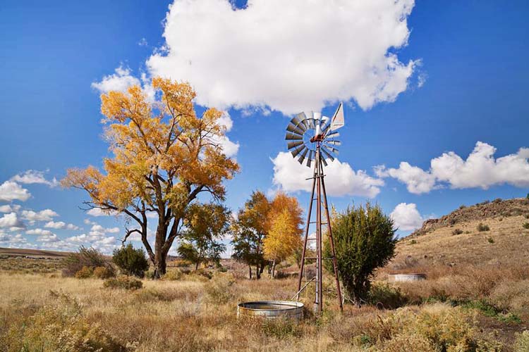 Experience stunning autumn colors in the White Mountains, a perfect destination for leaf-peeping and outdoor adventures. Arizona’s White Mountains are a breath taking spot to see fall foliage