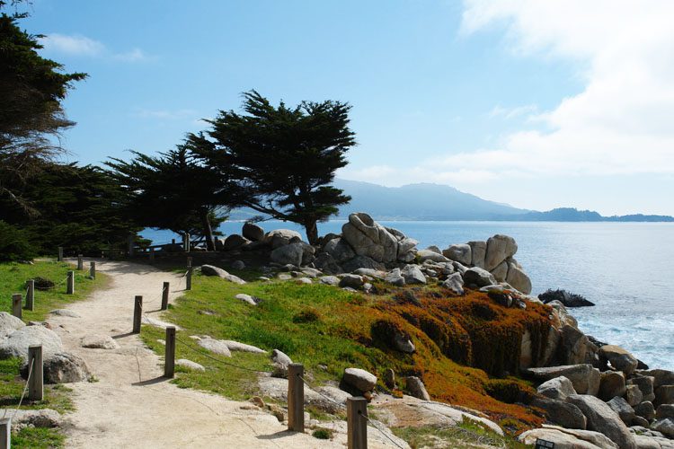 Discover the charming coastal town of Carmel-by-the-Sea, known for its fairy-tale cottages, pristine beaches, and vibrant art scene. Carmel-by-the-Sea is a picturesque coastal village known