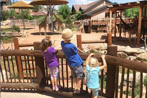 Cheyenne Mountain Zoo